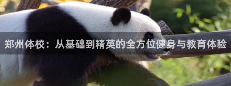 凯时ag旗舰厅