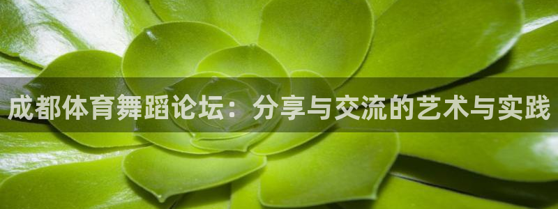 凯时尊龙app国际官方网站