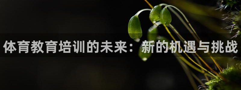 尊龙怎么没消息了