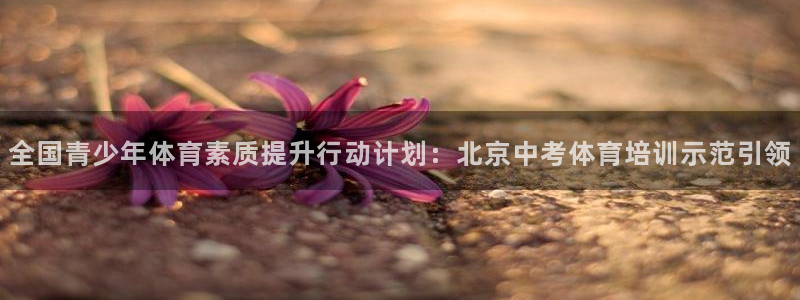 尊龙官网入口