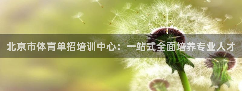 凯时kb88官方