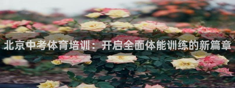 尊龙旗舰厅