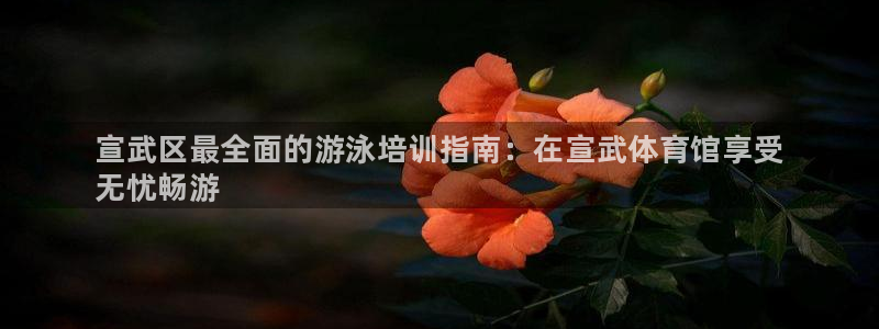 尊龙人生就是博登陆：宣武区最全面的游泳培训指南：在宣武体育馆