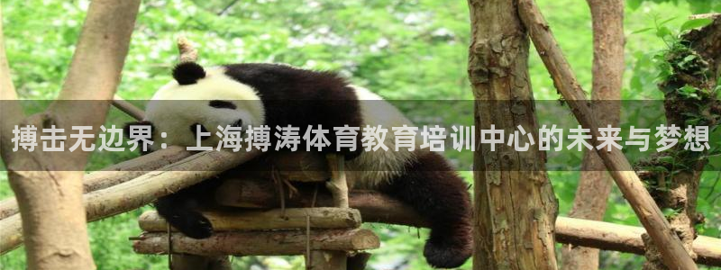 尊龙游戏中心