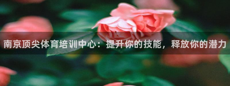 尊龙凯时人生就是博游戏网站：南京顶尖体育培训中心：提升你的技