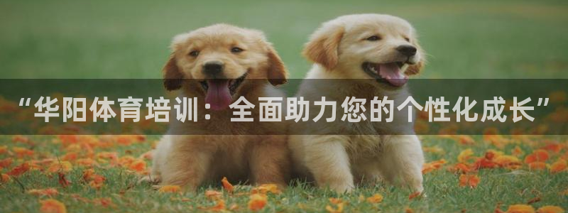 尊龙人生就是博用现金玩一下：“华阳体育培训：全面助力