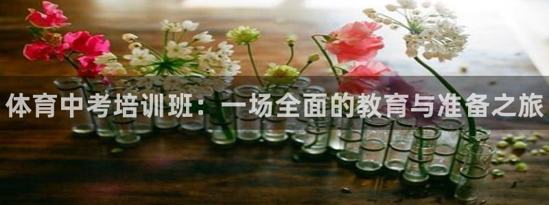 尊龙人生就是博AG：体育中考培训班：一场全面的教育与