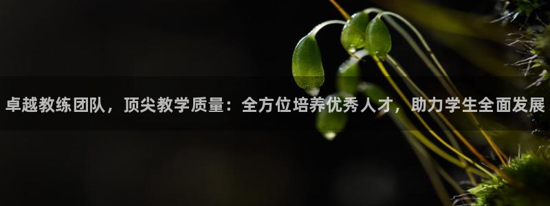 尊龙凯时ag旗舰厅试玩：卓越教练团队，顶尖教学质量：