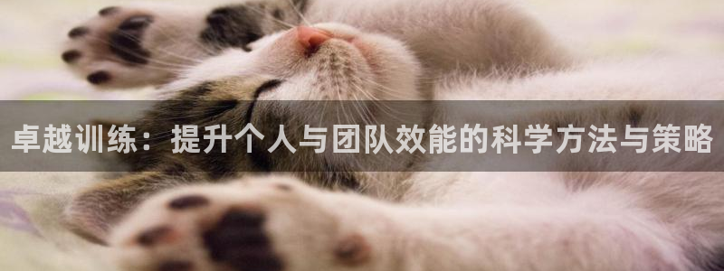 凯时K66最新版本下载：卓越训练：提升个人与团队效能