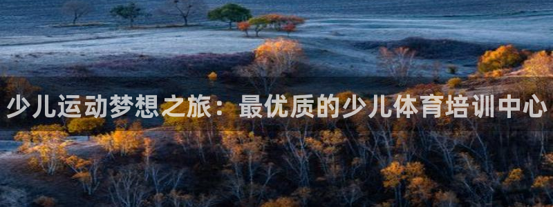 尊龙,人生就是搏：少儿运动梦想之旅：最优质的少儿体育培训中心