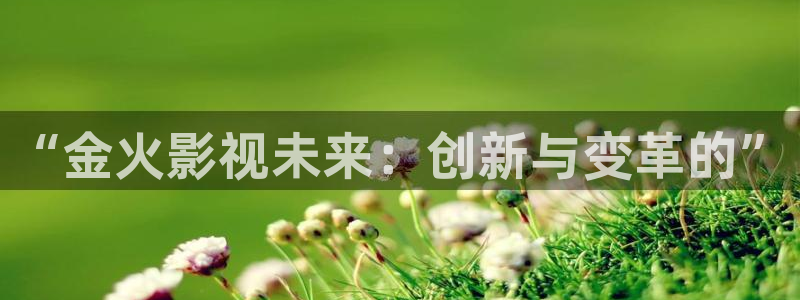 三米影视电视剧大全安家：“金火影视未来：创新与变革的”